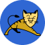 Tomcat logo